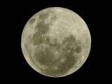 Full Moon 2
