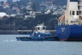 Tug HAURAKI