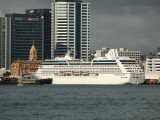 Cruise Ship REGATTA 1
