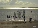 Narrow Neck Beach 4