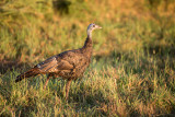 Web_IMG_5864.jpg