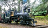 Climax, Puffing Billy Railway
