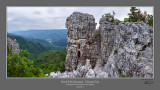 North Fork Mtn Chimney Top 2.jpg