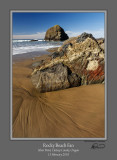 Silver Point Rocky Beach Fan.jpg