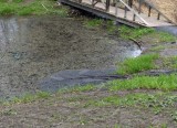 Erosion by the pond