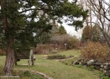 Backyard Garden at FWG