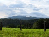 View at Curubanda Lodge