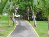 Walkway to the beach