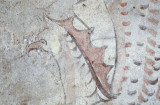 Paestum museum pictures