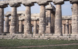 Paestum temples