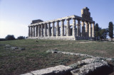 Paestum temples