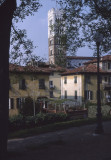 Lucca Duomo