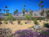 Palm Springs 2017 - 128.jpg