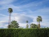 Palm Springs 2017 - 97.jpg