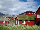 Norway 2017 - 35.jpg