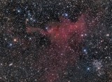 CG 4 - NGC 2427 - Mel 66 offener Strernhaufen