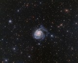 M 101