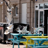 Weston-super-Mare - on the beach