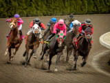 Emerald Downs: Click image to open gallery