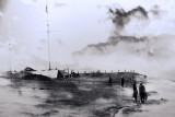 IMG_2917_plat_proc_crop.jpg