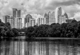 Mid Town Atlanta Viewed From Piedmont Park