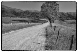 Smoky Mountain National Park-Cades Cove Late Afternoon