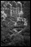 Amicalola Falls Close Up