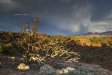 Early Morning Storm At Capitol Reef National Park, Utah