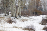 La Sal Mountains Snow Storm