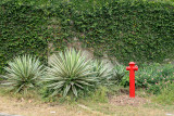 Fire Hydrant - Munroe Road and Canberra Crescent