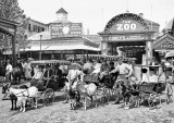 1904 - Coney Island goat carts
