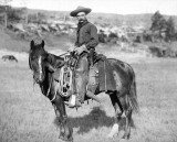 1888 - Cowboy