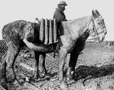1916 - Shells carried on horseback