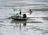 low tide harvest.jpg