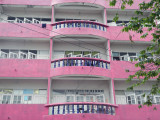 pink and white 1.jpg