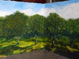 orchard.jpg