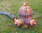 Sunken fire hydrant in Corbyville