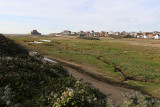 103 - Baie de Somme et cte Opale - octobre 2016 - IMG_0419_DxO Pbase.jpg