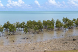 Ile Rodrigues - Découverte de la côte nord et du centre de l'île