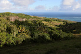 301 - Vacances ile Rodrigues janvier 2017 - IMG_2276_DxO Pbase.jpg