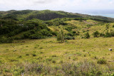 387 - Vacances ile Rodrigues janvier 2017 - IMG_2366_DxO Pbase.jpg