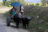 1732 Vacances  Cuba en avril 2017 - IMG_7037 DxO Pbase.jpg