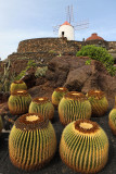Découverte de l'archipel des îles Canaries (Lanzarote, Fuerteventura, Tenerife et La Gomera)