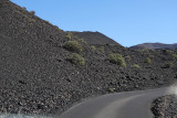 1865 Vacances aux iles Canaries nov 2017 - IMG_2025 DxO Pbase.jpg