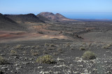 2040 Vacances aux iles Canaries nov 2017 - IMG_2194 DxO Pbase.jpg