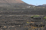 2279 Vacances aux iles Canaries nov 2017 - IMG_2466 DxO Pbase.jpg