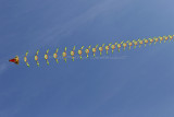 263 WE cerfs volants  Berck sur Mer - IMG_3795 DxO Pbase.jpg