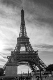 IMG_4016bw.jpg