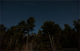 Algonquin Stars