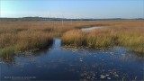 Bruce Peninsula Landscapes - Samsung Camera